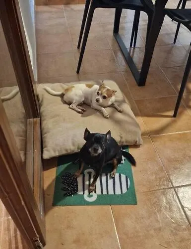 Villa Naay Playa Blanca (Lanzarote)