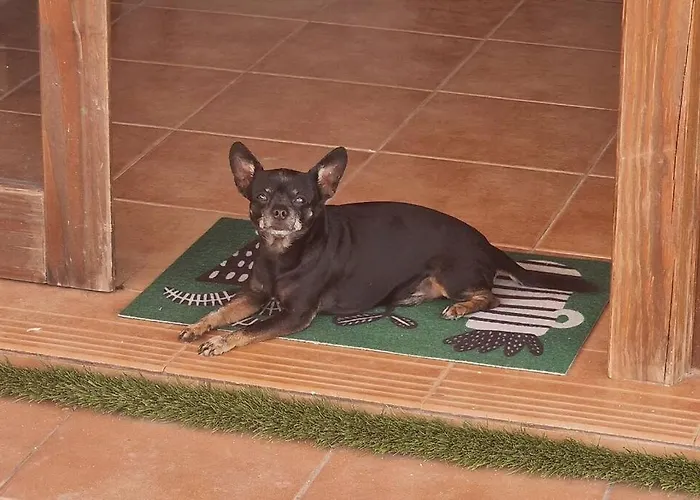 Naay וילה פלאיה בלנקה