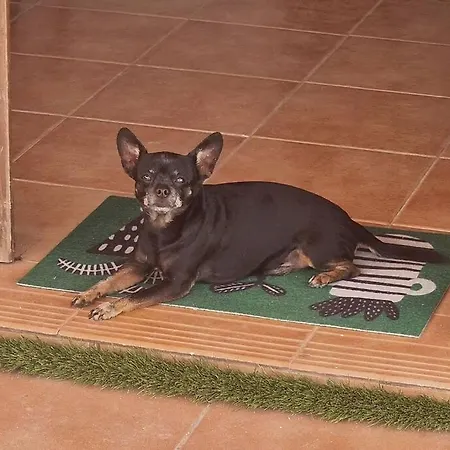 Naay 빌라 플라야블랑카